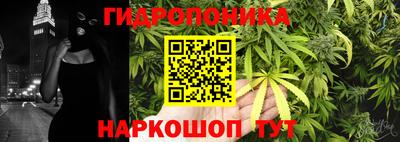 мдпв Ипатово