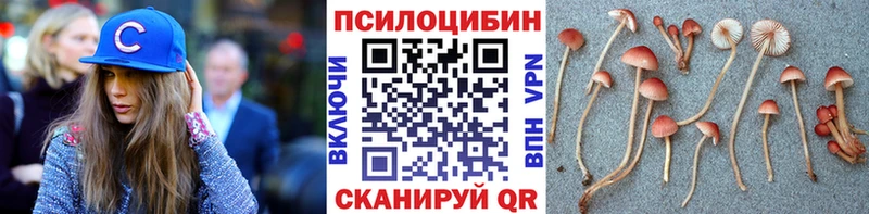Псилоцибиновые грибы Cubensis  Майский 
